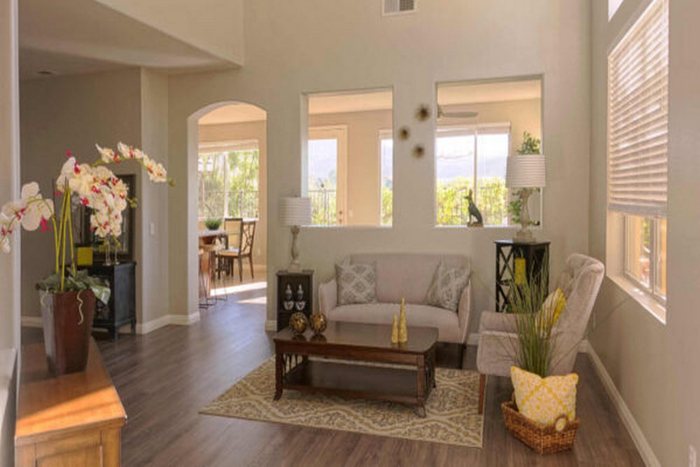 Avada Car Dealer News